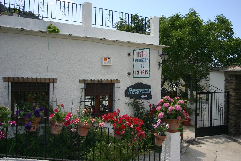 Hostal Rural Las Terrazas De La Alpujarra ブビオン エクステリア 写真