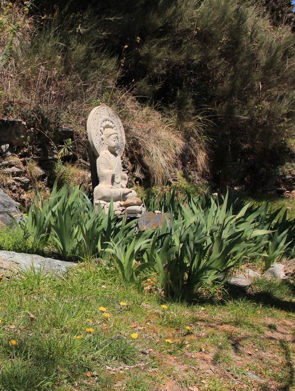 Hostal Rural Las Terrazas De La Alpujarra ブビオン エクステリア 写真