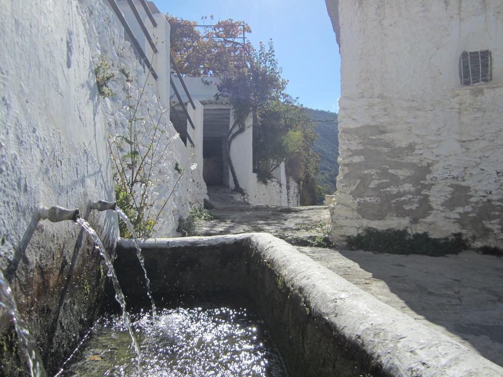 Hostal Rural Las Terrazas De La Alpujarra ブビオン エクステリア 写真